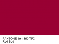 Anilin dye PANTONE 19-1850 TPX Red Bud