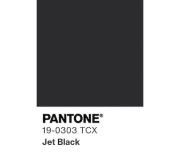 Чорний 19-0303  Jet Black
