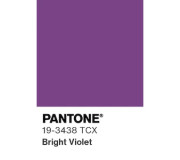 Сяючий фіолет 19-3438 Bright Violet