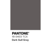 Графіт 18-0403 Dark Gull Gray