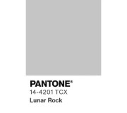 Сірий 14-4201 Lunar Rock