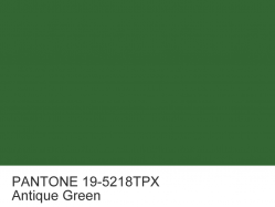 Anilin dye PANTONE 19-5218 TPX Antique Green