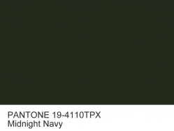 Anilin dye PANTONE 19-4110 TPX Midnight Navy